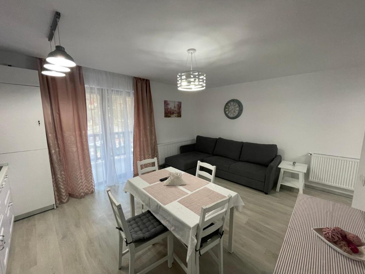 Castle Residence Apt. Eminescu Buşteni Esterno foto