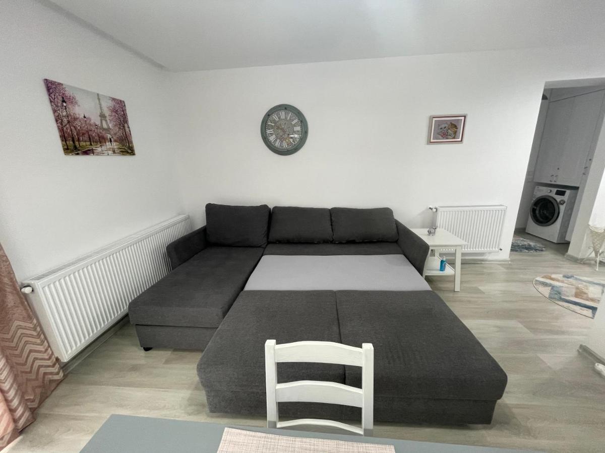 Castle Residence Apt. Eminescu Buşteni Esterno foto